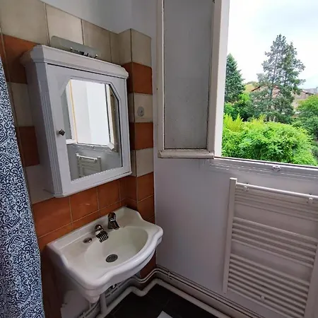 Idealement Situe Pour Curiste Châtel-Guyon